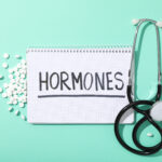 HRT and Skin Aging: What Estrogen Does for Your Collagen